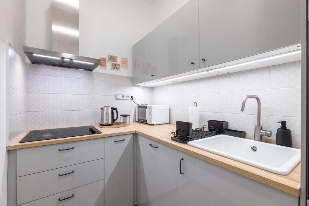 Cute 1bedroom Center 布拉格